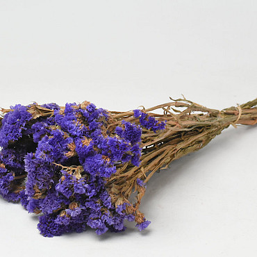 Statice Sinuata Violet foncé