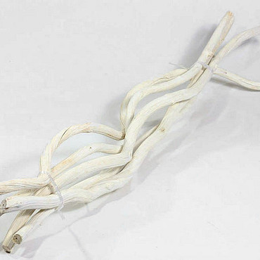 Dula Bleached 110cm