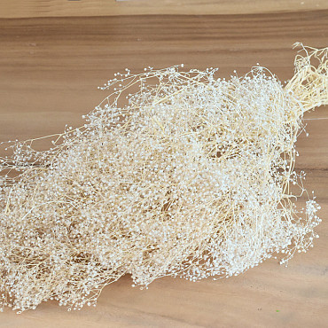 Gypsophila 35cm