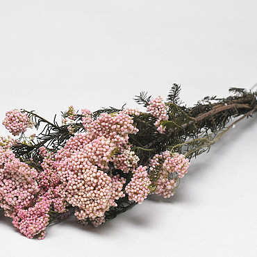 Rice Flower 100gr.