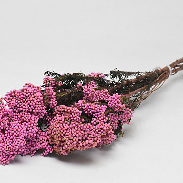 Rice Flower Roze 100gr.
