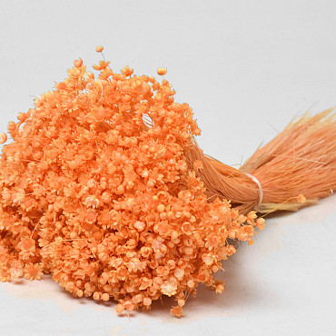 Bouquet Glixia (50gr) Orange 30cm