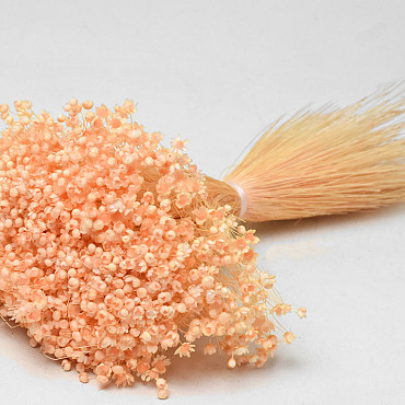 Glixia (50gr) Pastel Peach30cm