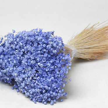 Glixia (50gr) Pastel Violet 30cm