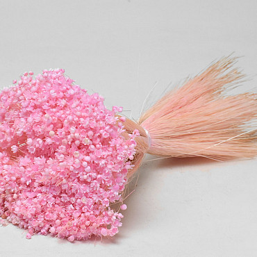 Glixia (50gr) Pastellrosa 30cm