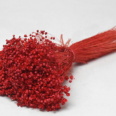 Glixia (50gr) Rood 30cm