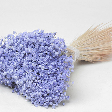 Glixia (50gr) Pastel Violet 30cm