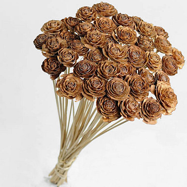 Cedar Rose on 50cm stem