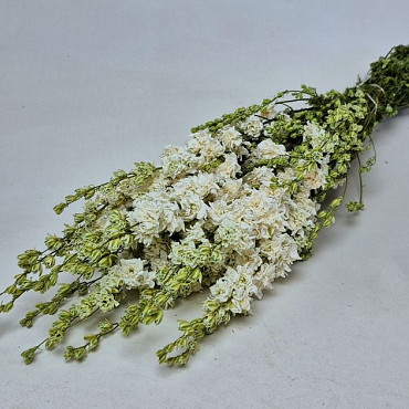 Bouquet Delphinium Blanc 65cm