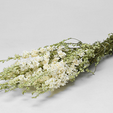 Bouquet Delphinium Blanc 65cm
