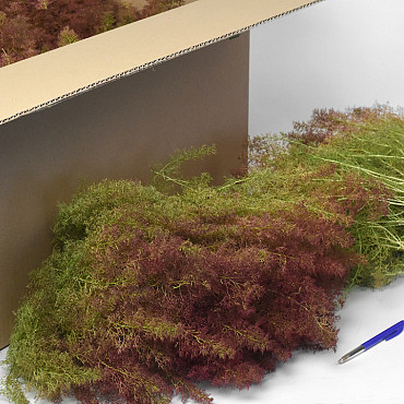 Sea Moss, box 80x38x35cm