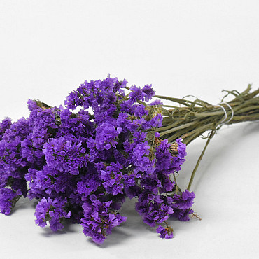 Statice Sinuata Violet foncé