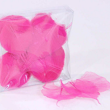 Skeleton Leaves 200pcs Pink