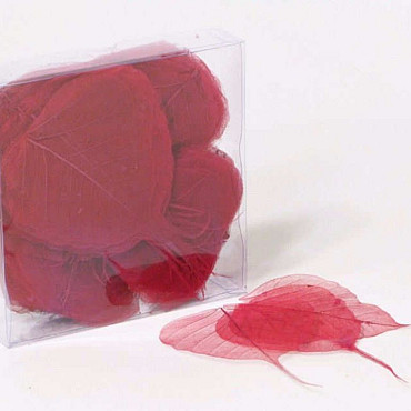 Feuilles Squelette Rouge 200pcs 