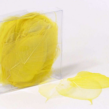 Feuilles Squelette 200pcs jaune