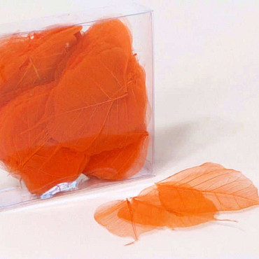 Feuilles Squelette Orange 200pcs 