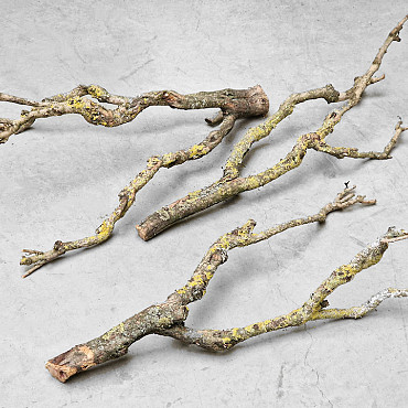Lilac Branch 50-70cm