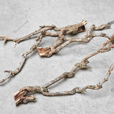 Bois de Lila 30-50cm mince