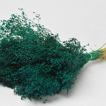 Bouquet Broom Bloom Vert Émeraude 50cm