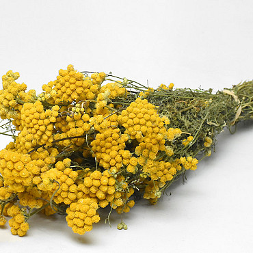 Bouquet Lonas 50cm