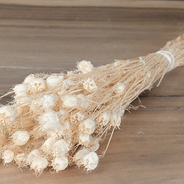 Nigella Bleached 100gr.