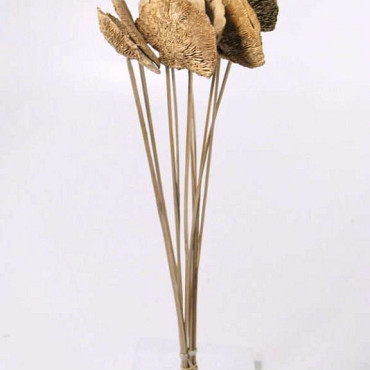 Elfenbankje op 50cm steel