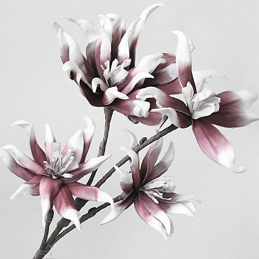 Foam Bloesemtak Wit/Aubergine 85cm