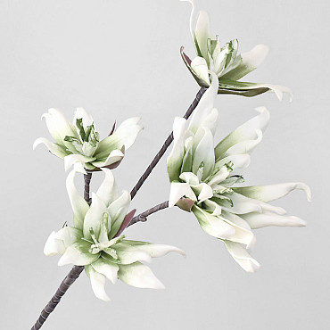 Foam Bloesemtak Wit/Groen 85cm
