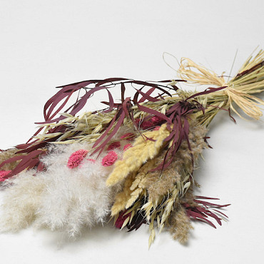 Droogbloemen Boeket Pampas Wit Roze