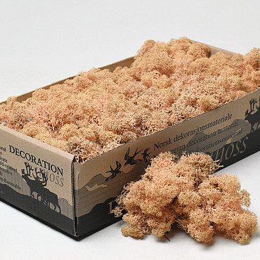 Islandmoos Pfirsich 500Gr.