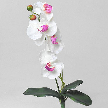 Artificial Phalaenopsis White 50cm 