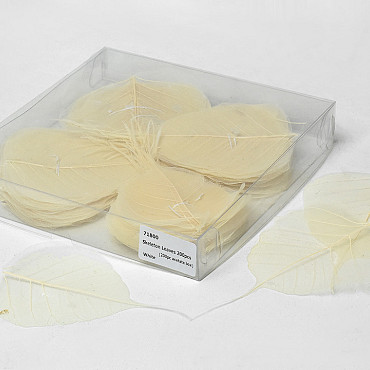Skeleton Leaves White 200pcs 