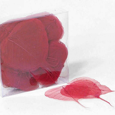 Skeleton Leaves Red 200pcs 