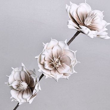 Fleurs en mousse Mocca, D 18cm