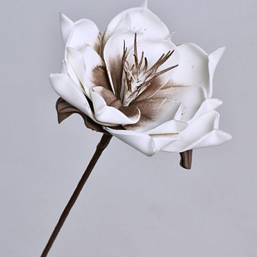 Foam Bloem Wit/Mocca, D 16cm
