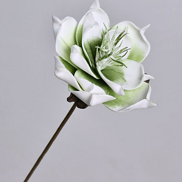 Blume Schaumstoff Grün, D 16cm