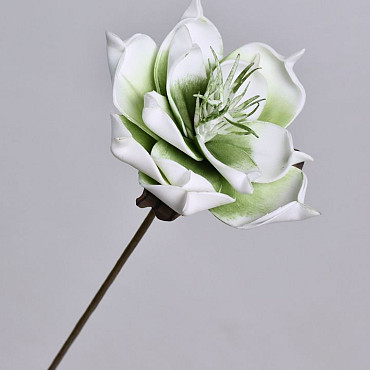 Fleur en mousse Vert, D 16cm