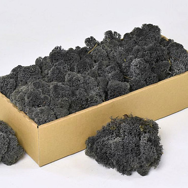 Rendiermos Antraciet 500gr.