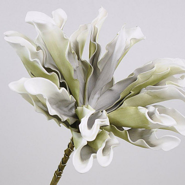 Foam Dracena White/Grey, D 24cm