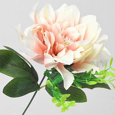 Dahlien D14cm Creme