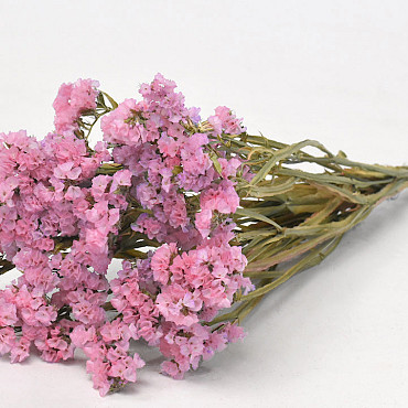 Statice Sinuata Roze