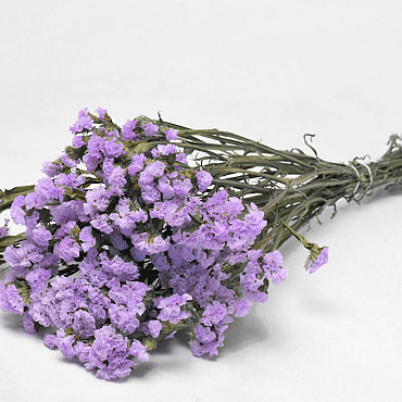 Statice Sinuata Violet