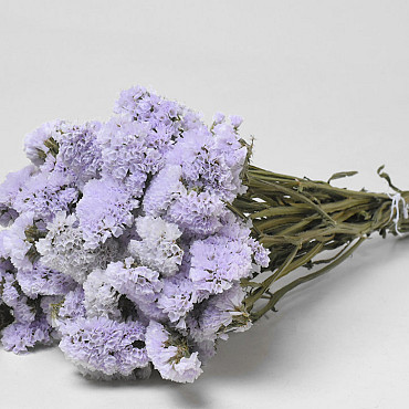 Statice Sinuata Hell Violett