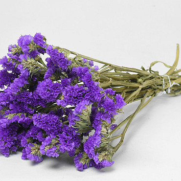 Statice Sinuata Dark Violet