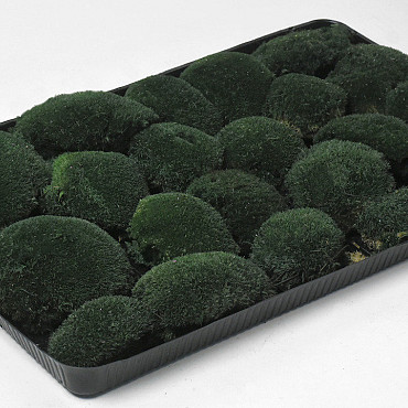 Kugelmoos Dunkelgrün (Tray 38x58cm)
