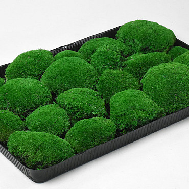 Kugelmoos Waldgrün (Tray 38x58cm)