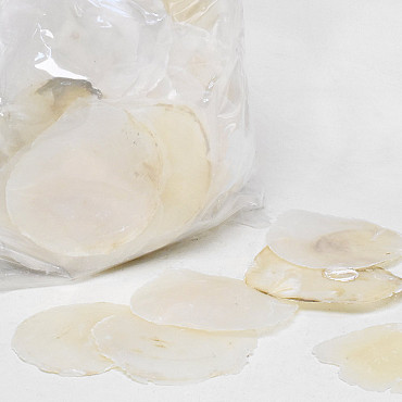 Disque Mère de Perle 9-12cm 1kg