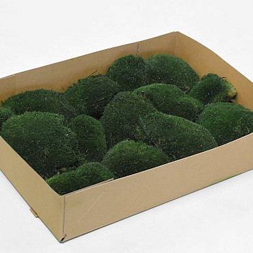 Bolmos Donkergroen (Tray 29x39cm)