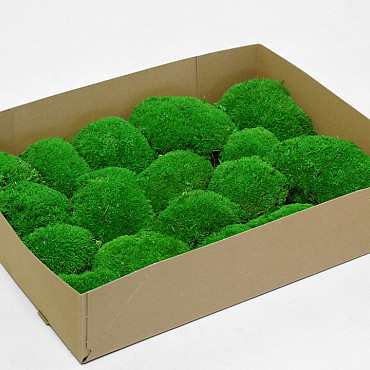Boule de mousse vert clair (Tray 29x39cm)