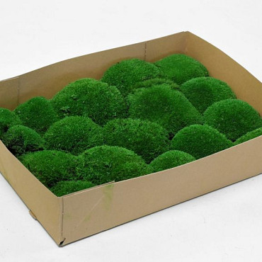 Polstermoos Waldgrün (Tray 29x39cm)